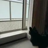 chi_ha001 nude #0026