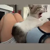 chiri.francesca nude #0015