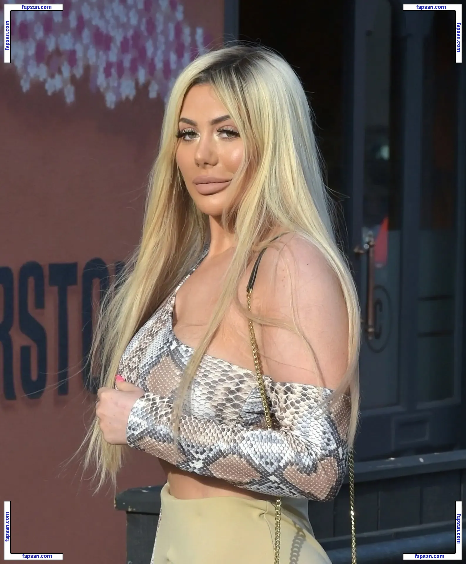 Chloe Ferry голая фото #0880 с Онлифанс