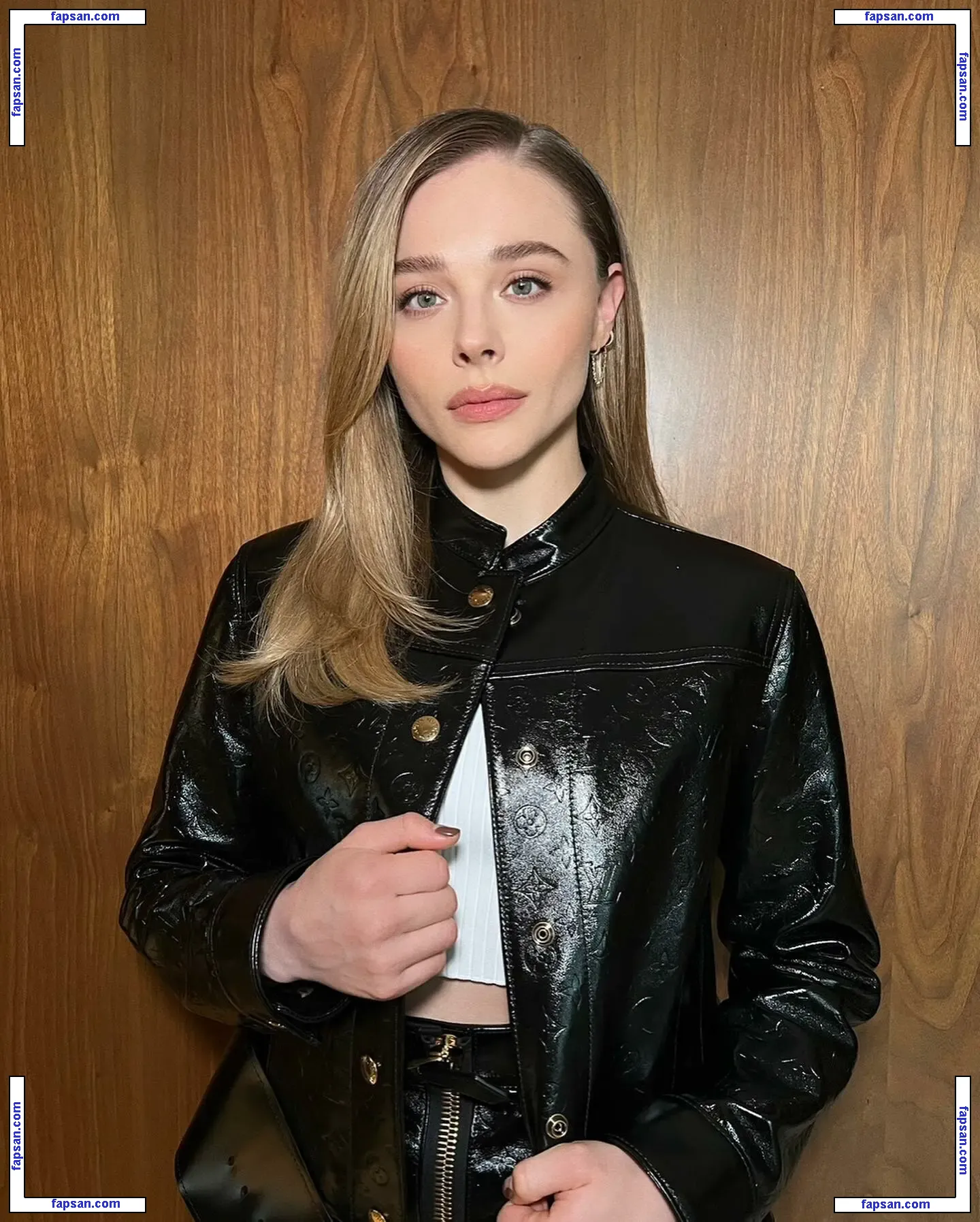 Chloë Grace Moretz nude photo #1064 from OnlyFans