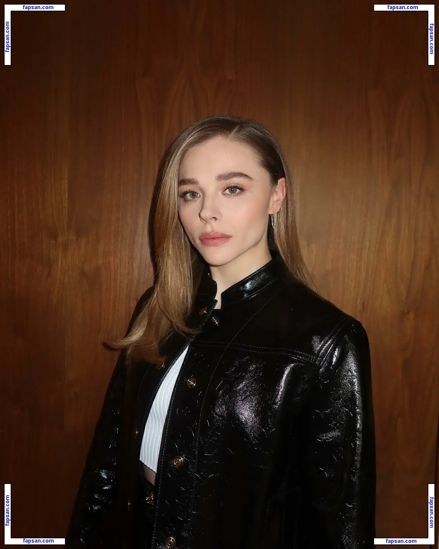 Chloë Grace Moretz nude photo #1065 from OnlyFans