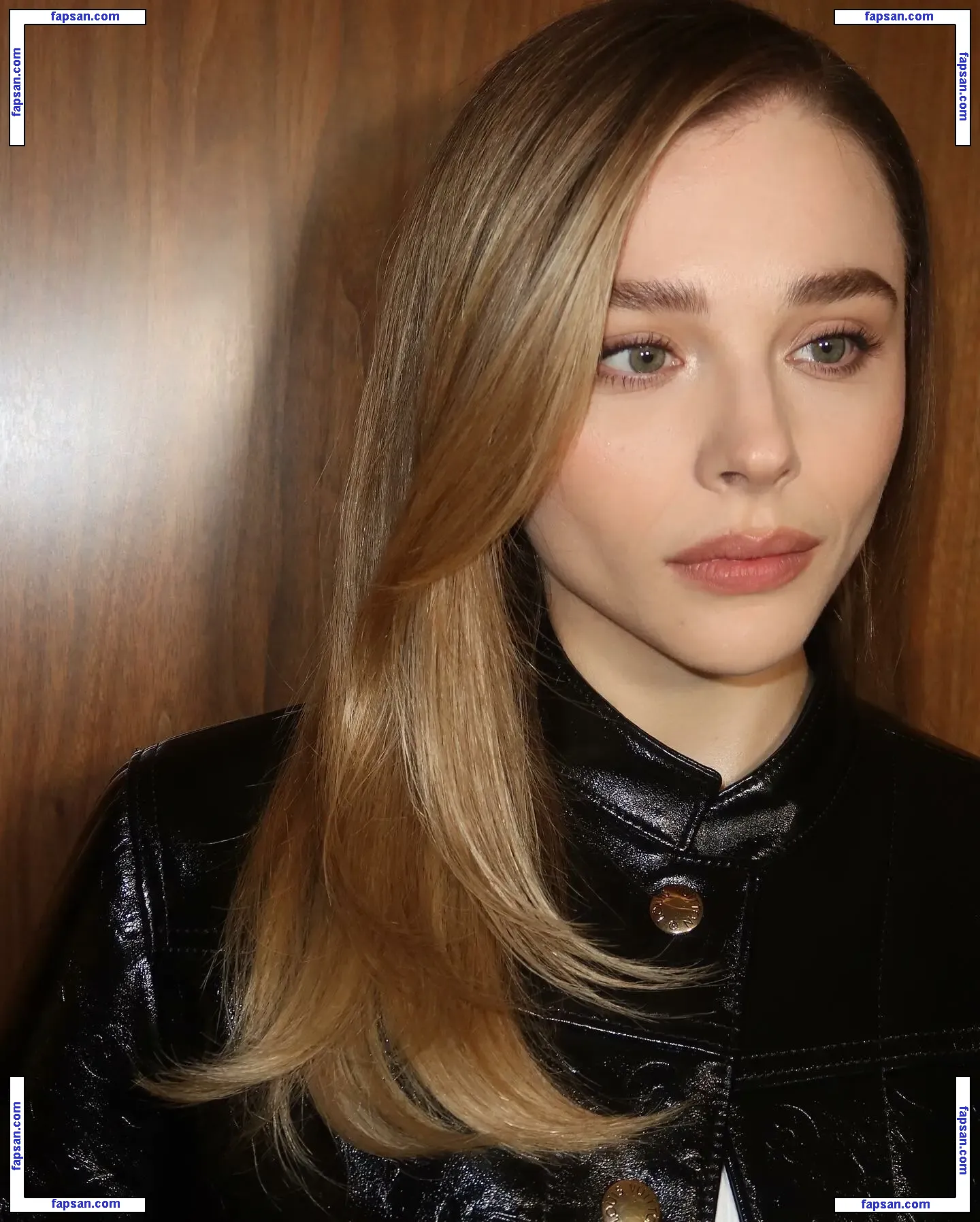 Chloë Grace Moretz nude photo #1066 from OnlyFans
