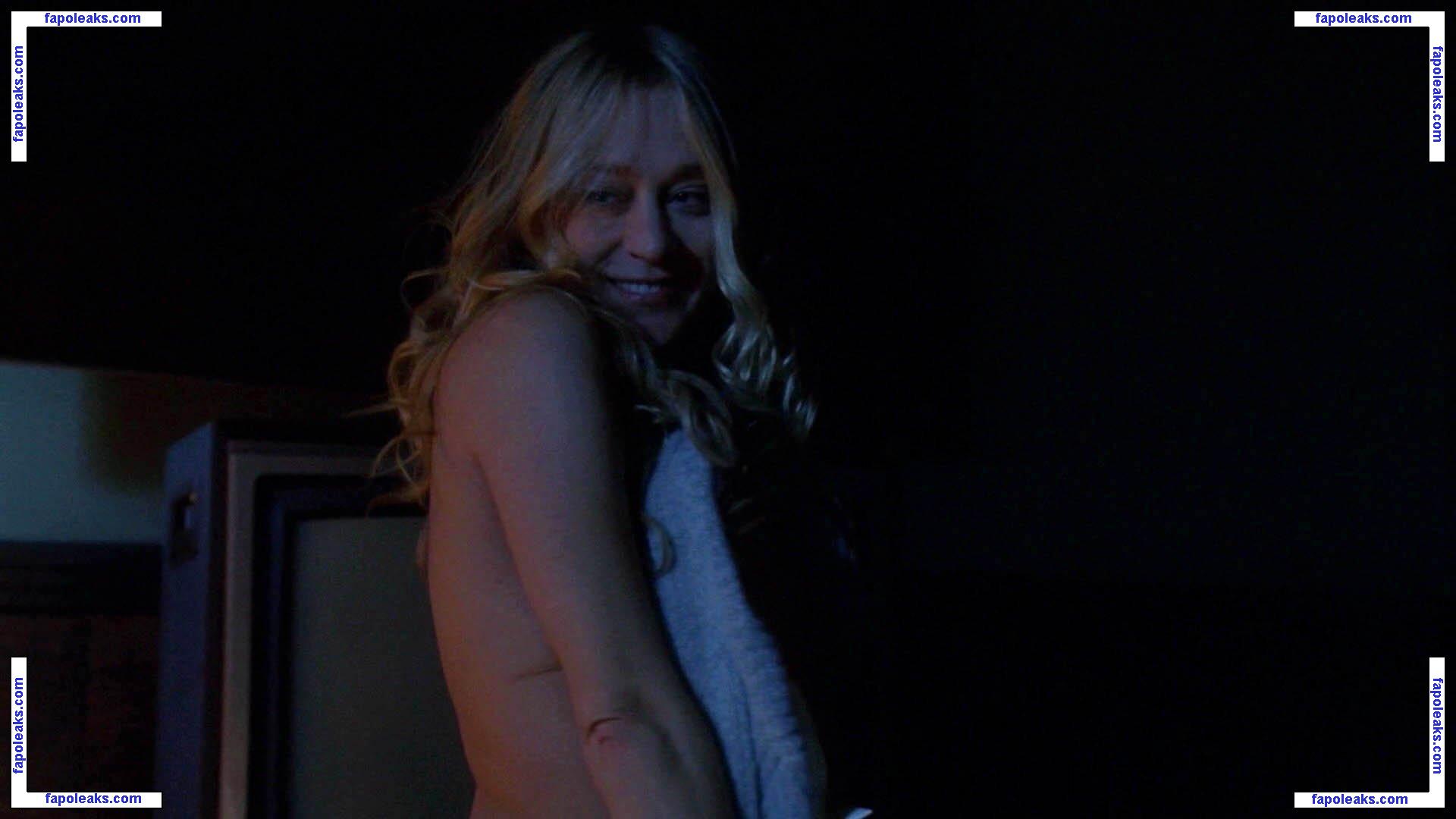 Chloë Sevigny / chloessevigny / officialchloes nude photo #0347 from OnlyFans
