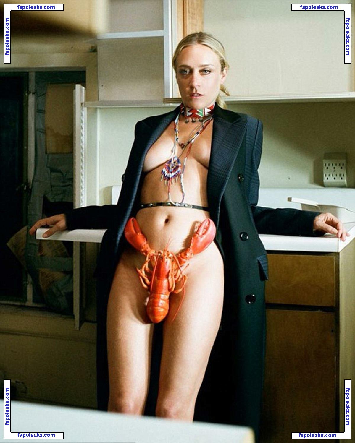 Chloë Sevigny / chloessevigny / officialchloes nude photo #0394 from OnlyFans