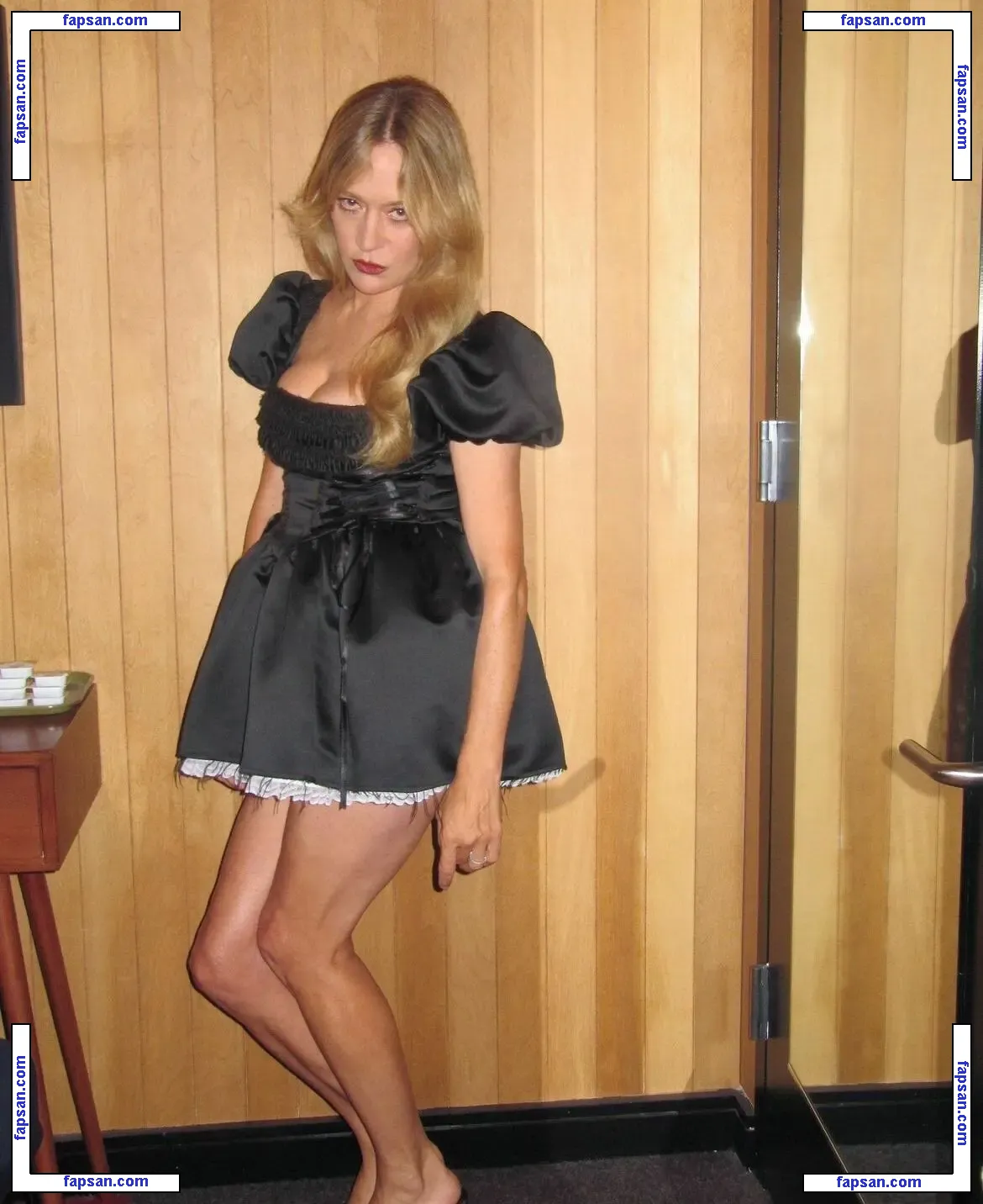 Chloë Sevigny nude photo #0451 from OnlyFans