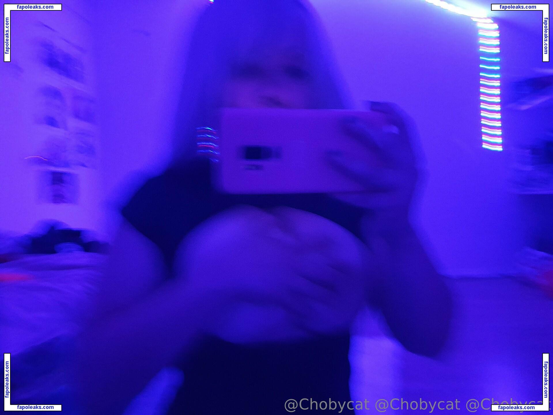 chobycat nude photo #0033 from OnlyFans