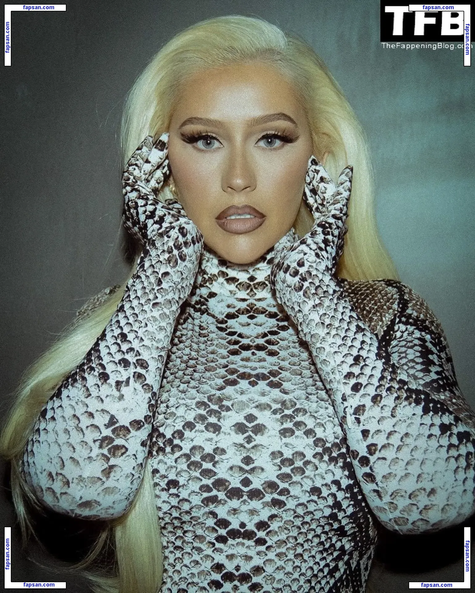 Christina Aguilera голая фото #1819 с Онлифанс