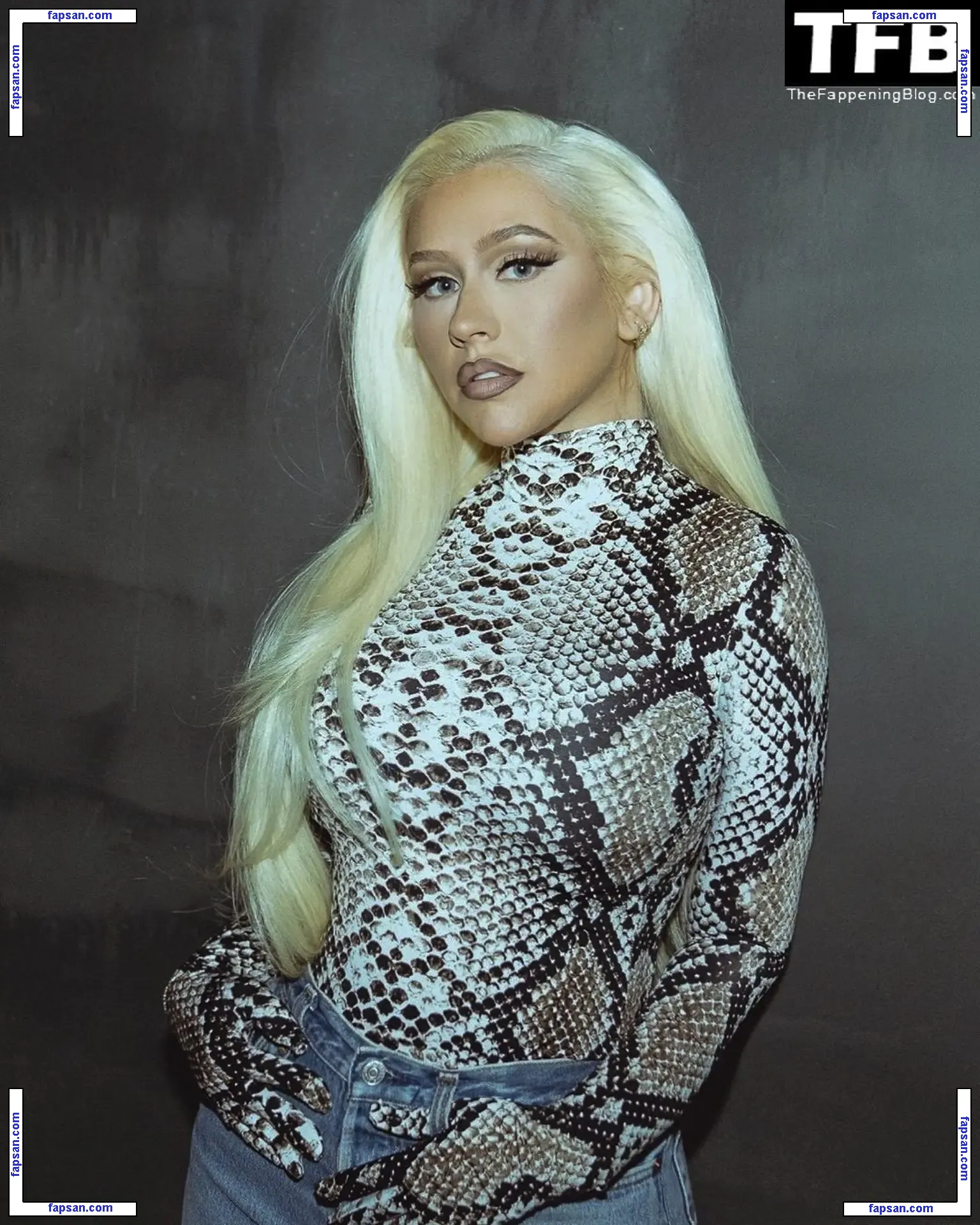 Christina Aguilera голая фото #1824 с Онлифанс