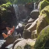 Christine Fernandes голая #0005