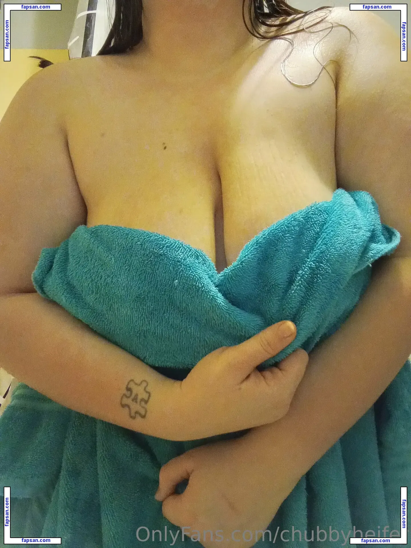 chubbyheifer / chubbycattle nude photo #0007 from OnlyFans