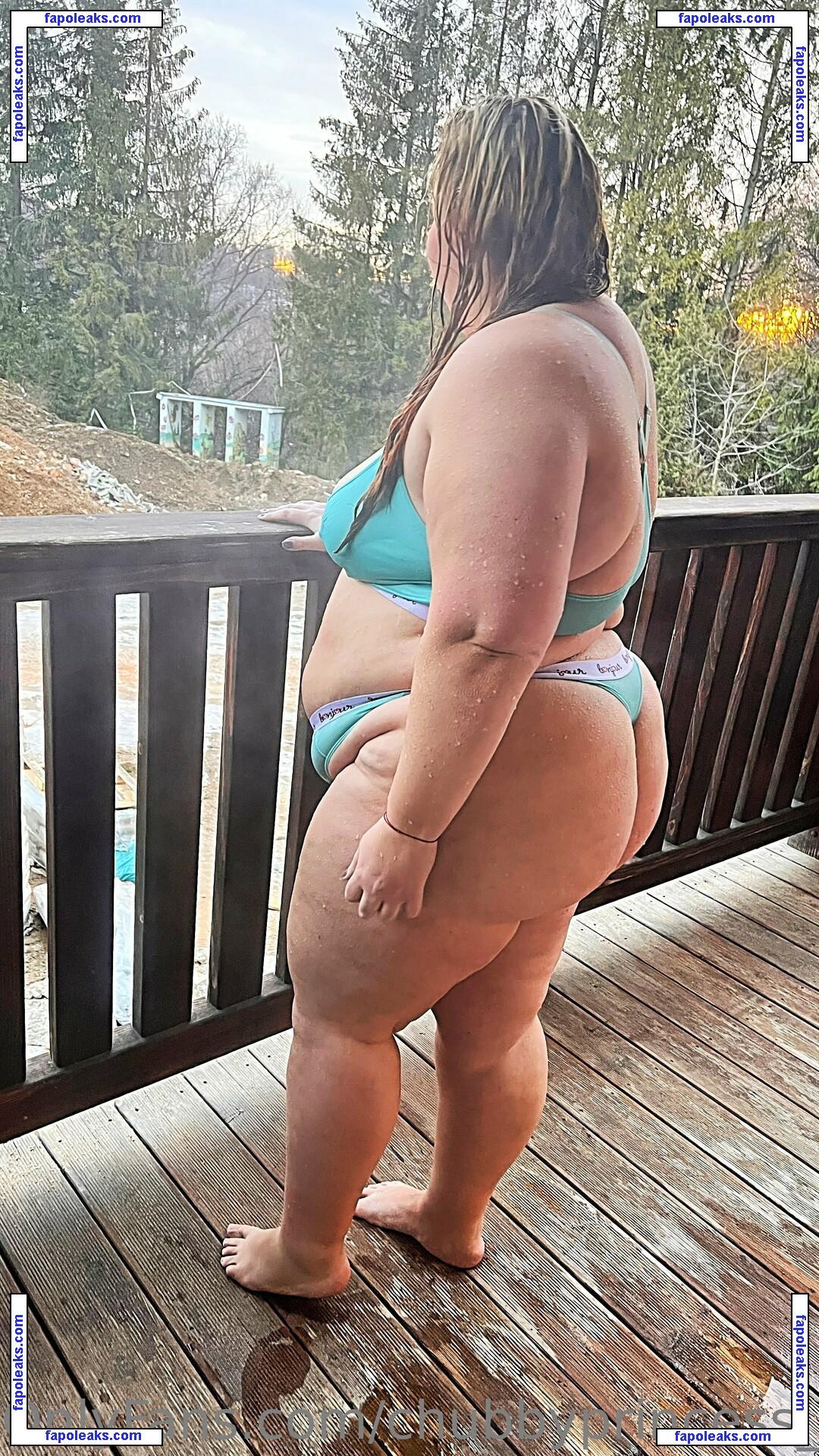 chubbyprincess_98 / fb_0296 nude photo #0012 from OnlyFans