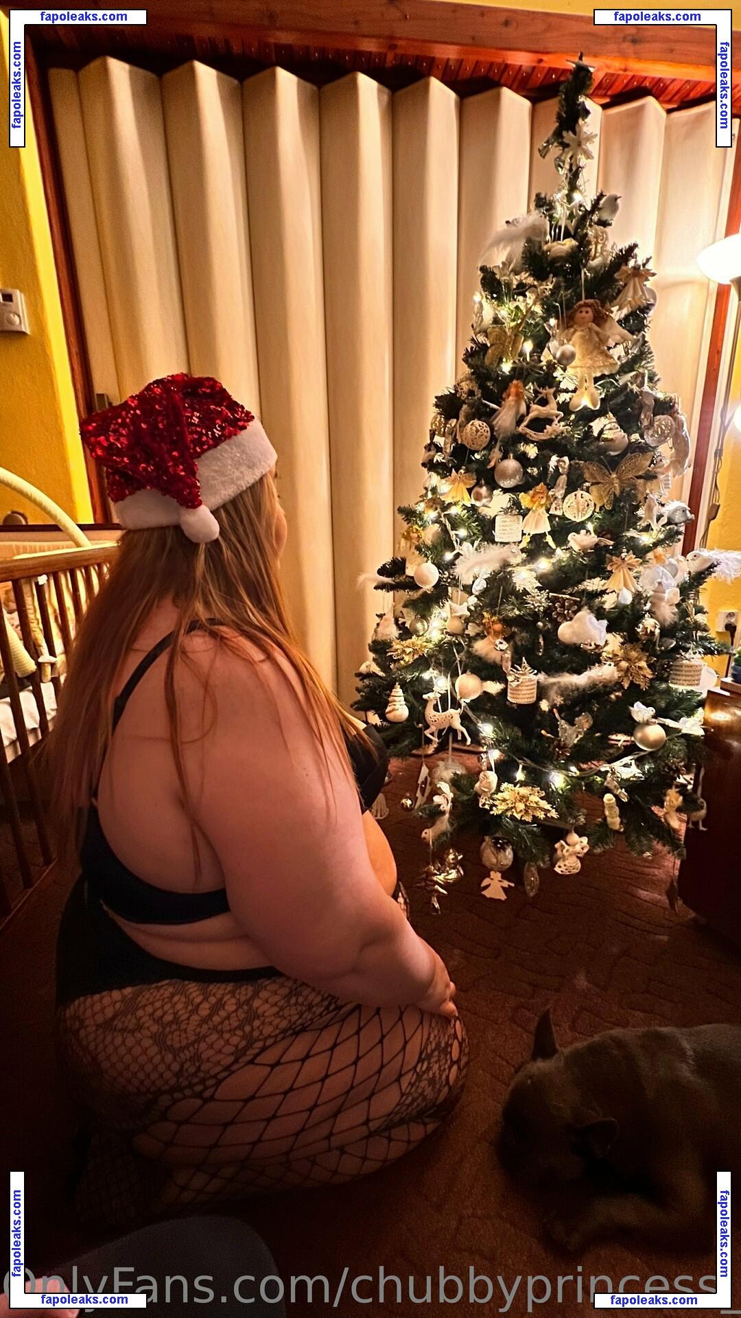 chubbyprincess_98 / fb_0296 nude photo #0014 from OnlyFans