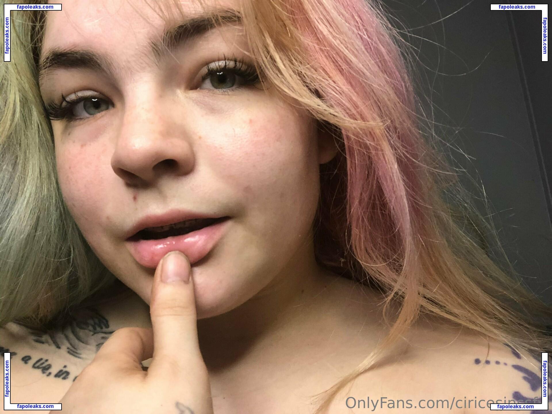 ciricesinssfw / ficcew_s nude photo #0071 from OnlyFans