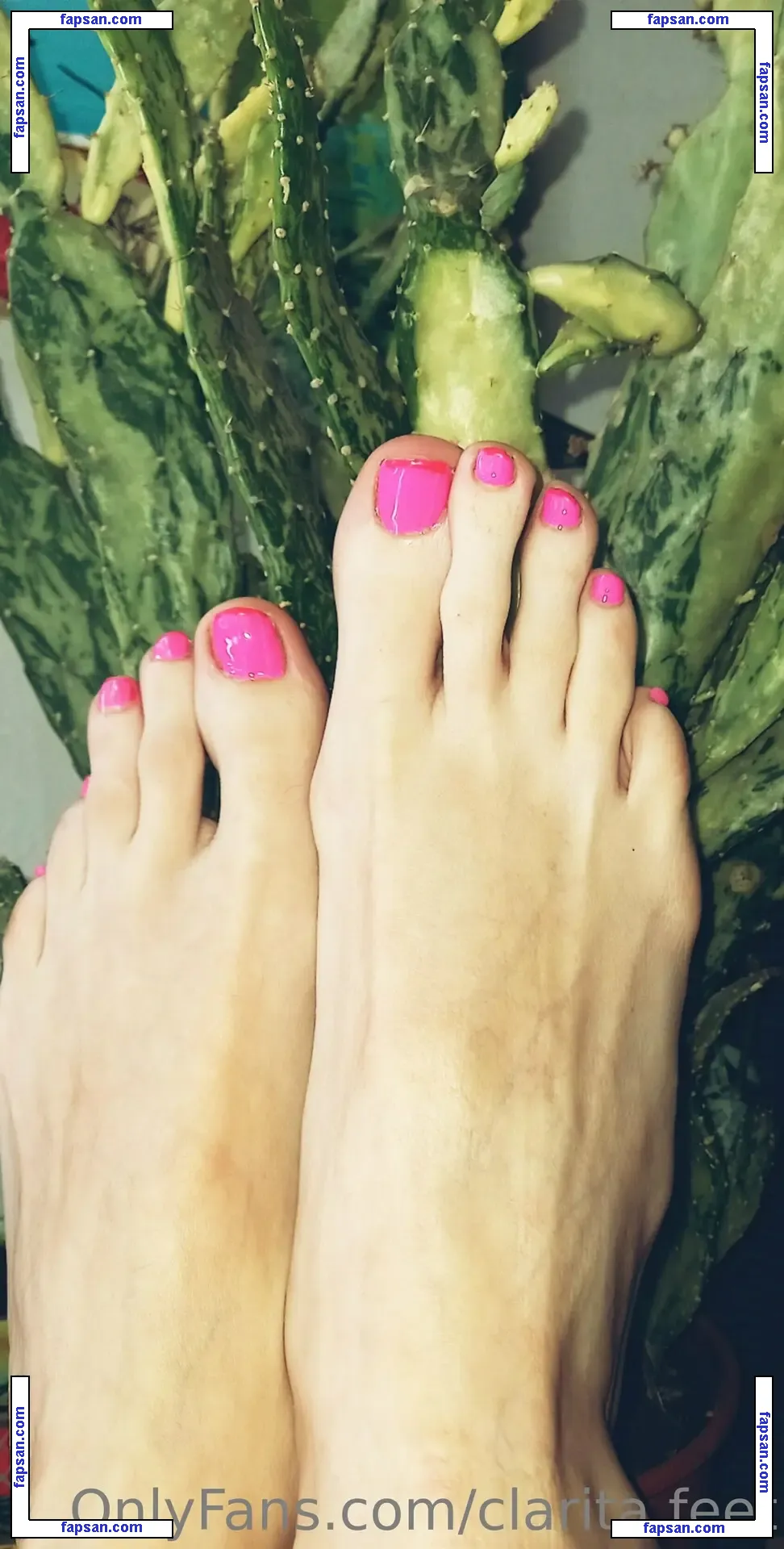 clarita.feet nude photo #0002 from OnlyFans