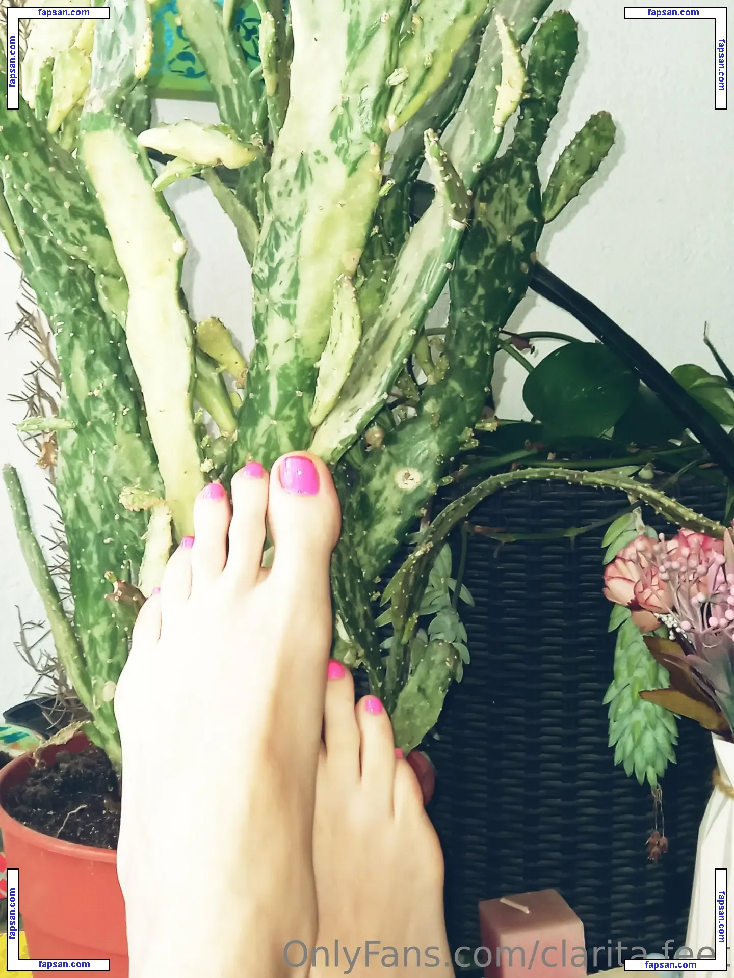 clarita.feet nude photo #0020 from OnlyFans