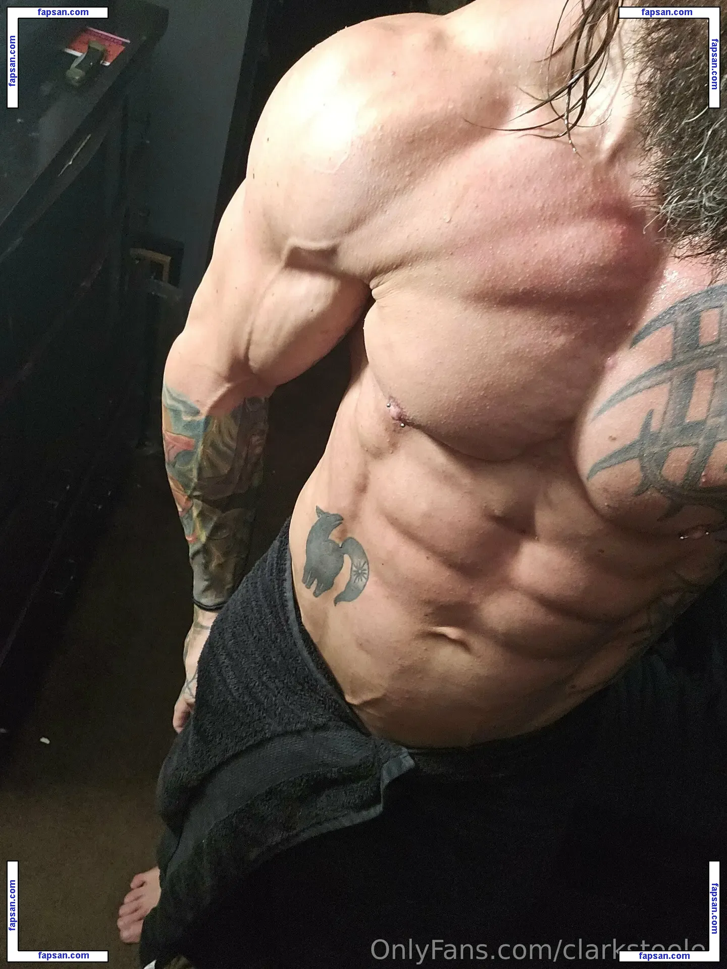 clarksteele2 nude photo #0028 from OnlyFans