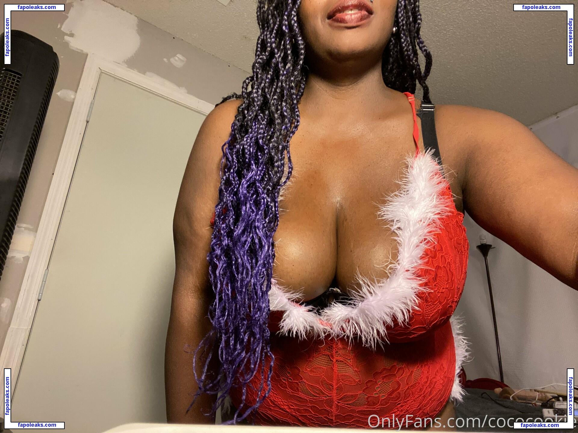 cococookie / cococookieco nude photo #0016 from OnlyFans