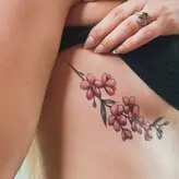 Collete Davis nude #0279