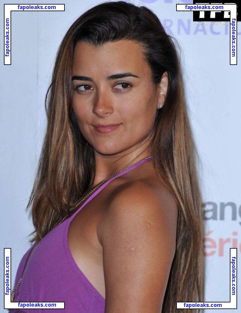 Cote de Pablo / cote.de.pablo голая фото #0036 с Онлифанс