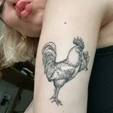 Courtney Miller голая #0360