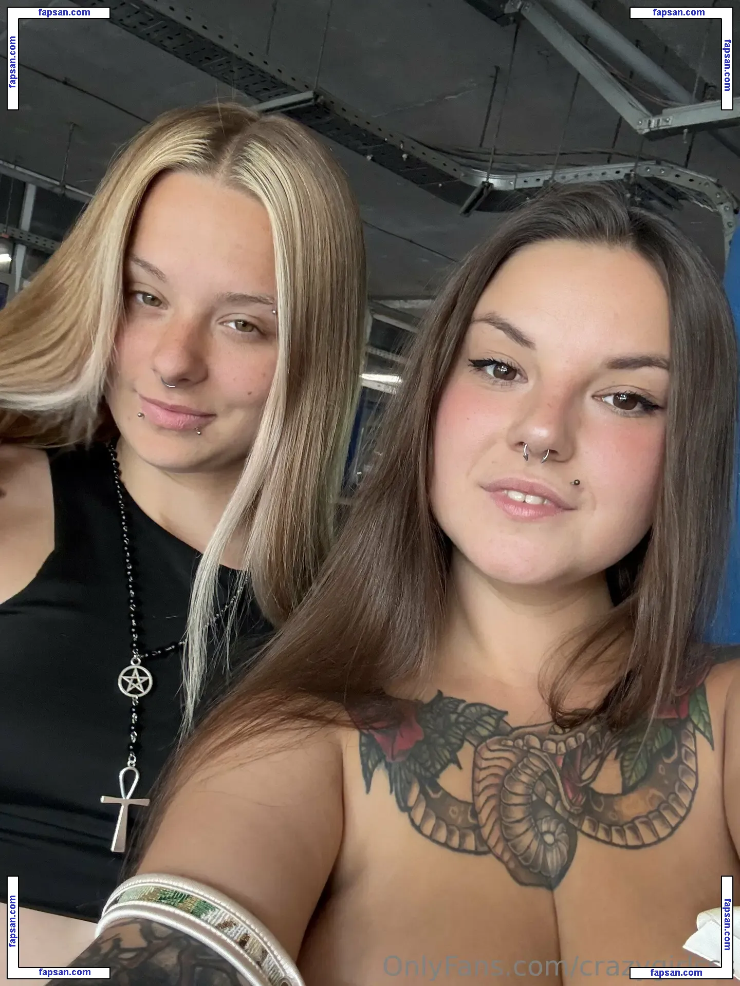 crazygirlsss nude photo #0011 from OnlyFans