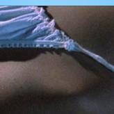 Cristina Marsillach голая #0038