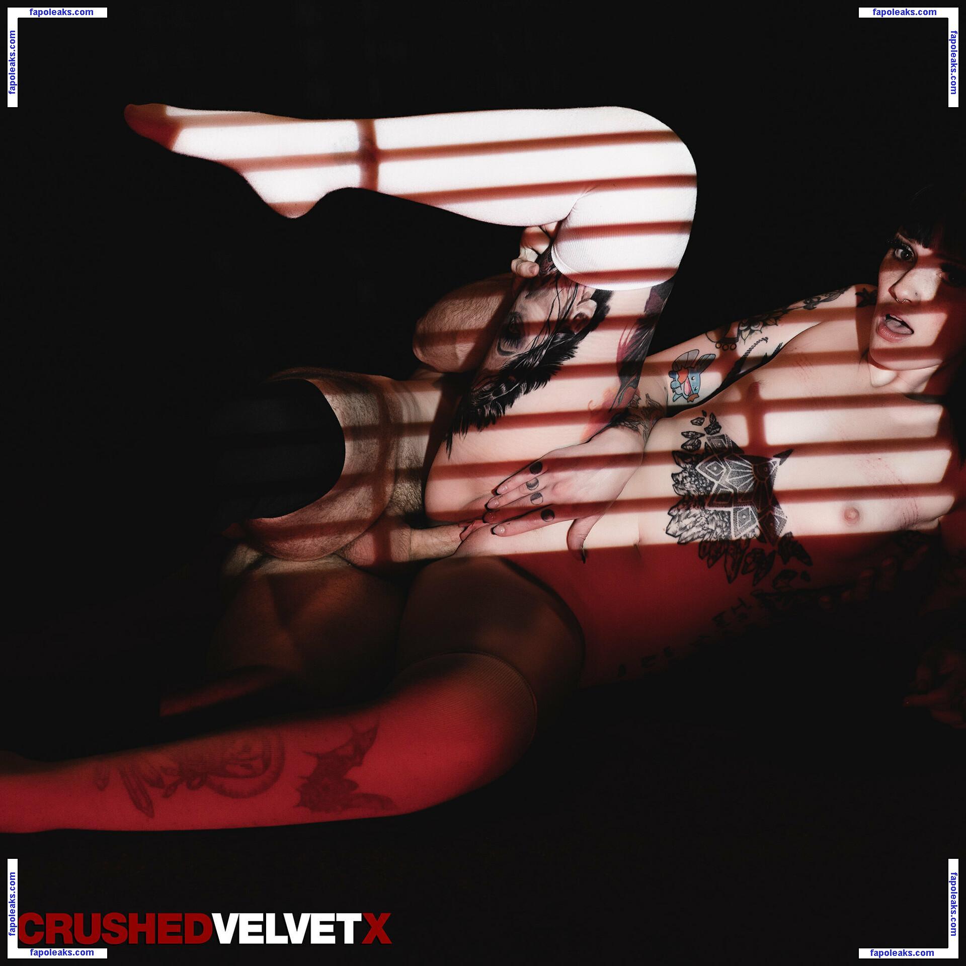 crushedvelvetx / crushedvelvetsex голая фото #0009 с Онлифанс