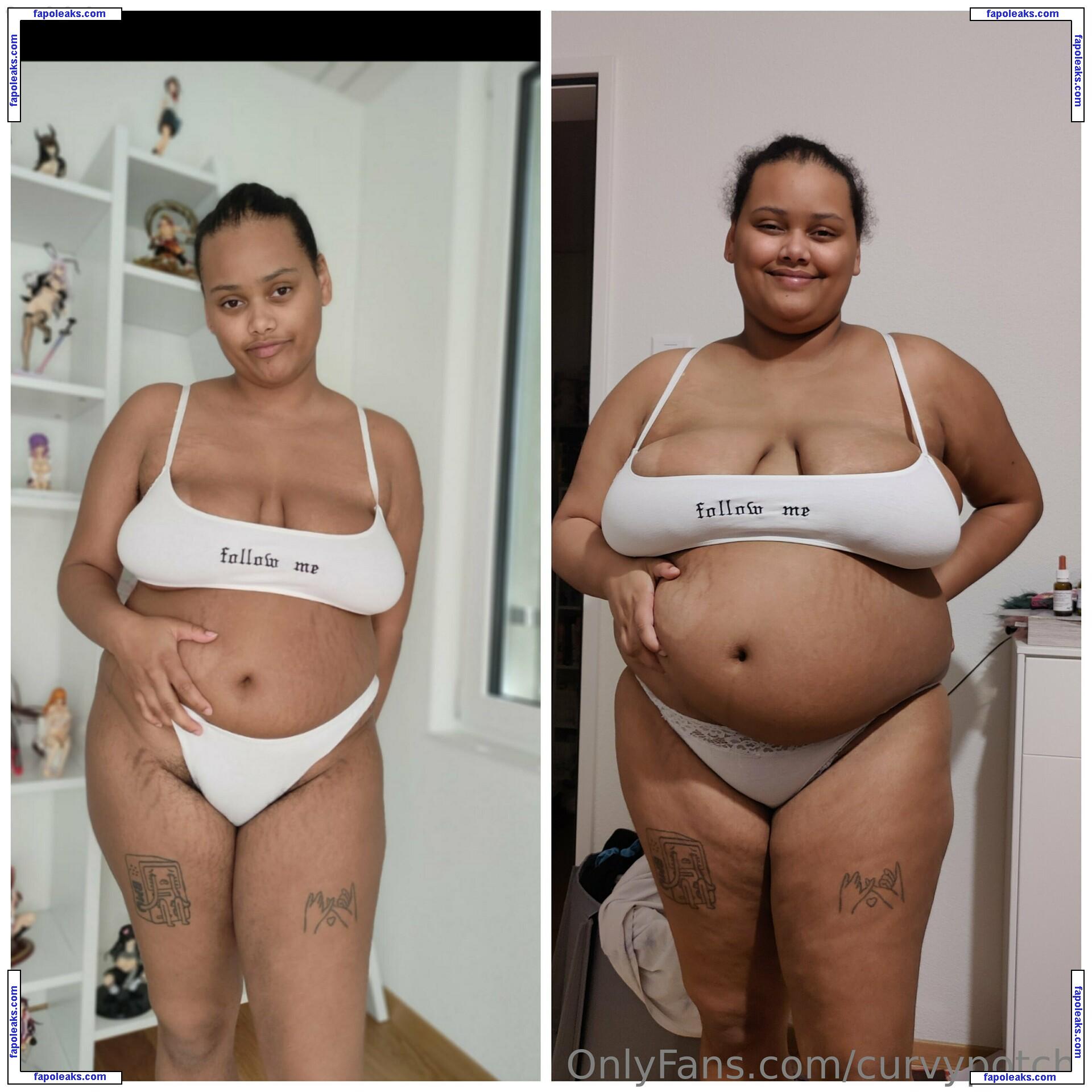 curvypotchi nude photo #0035 from OnlyFans