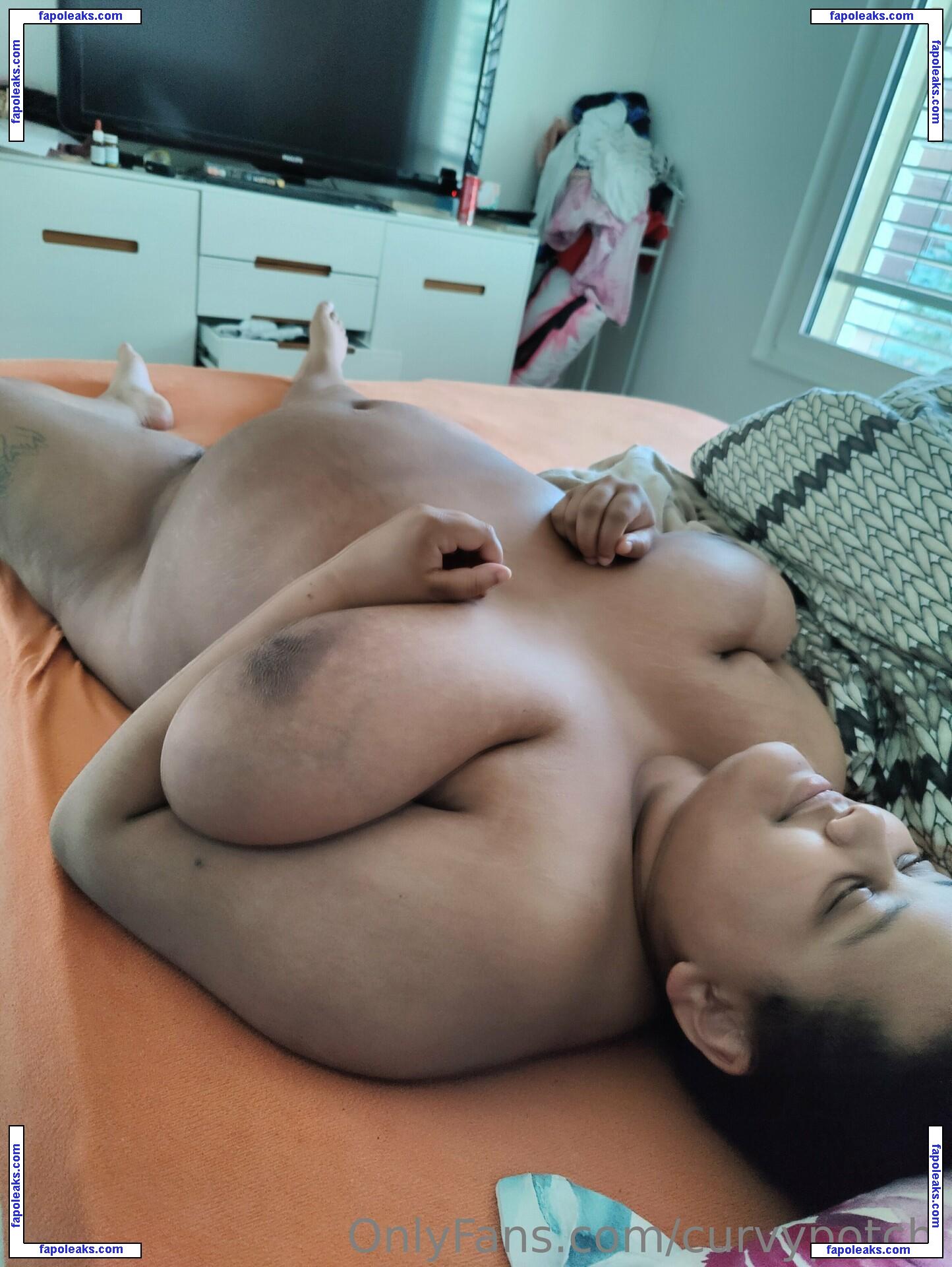 curvypotchi nude photo #0059 from OnlyFans