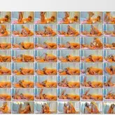 cuteanddesesperate голая #0128