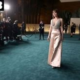 Dakota Johnson голая #0955