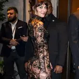 Dakota Johnson nude #1739