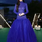 Dakota Johnson голая #1764