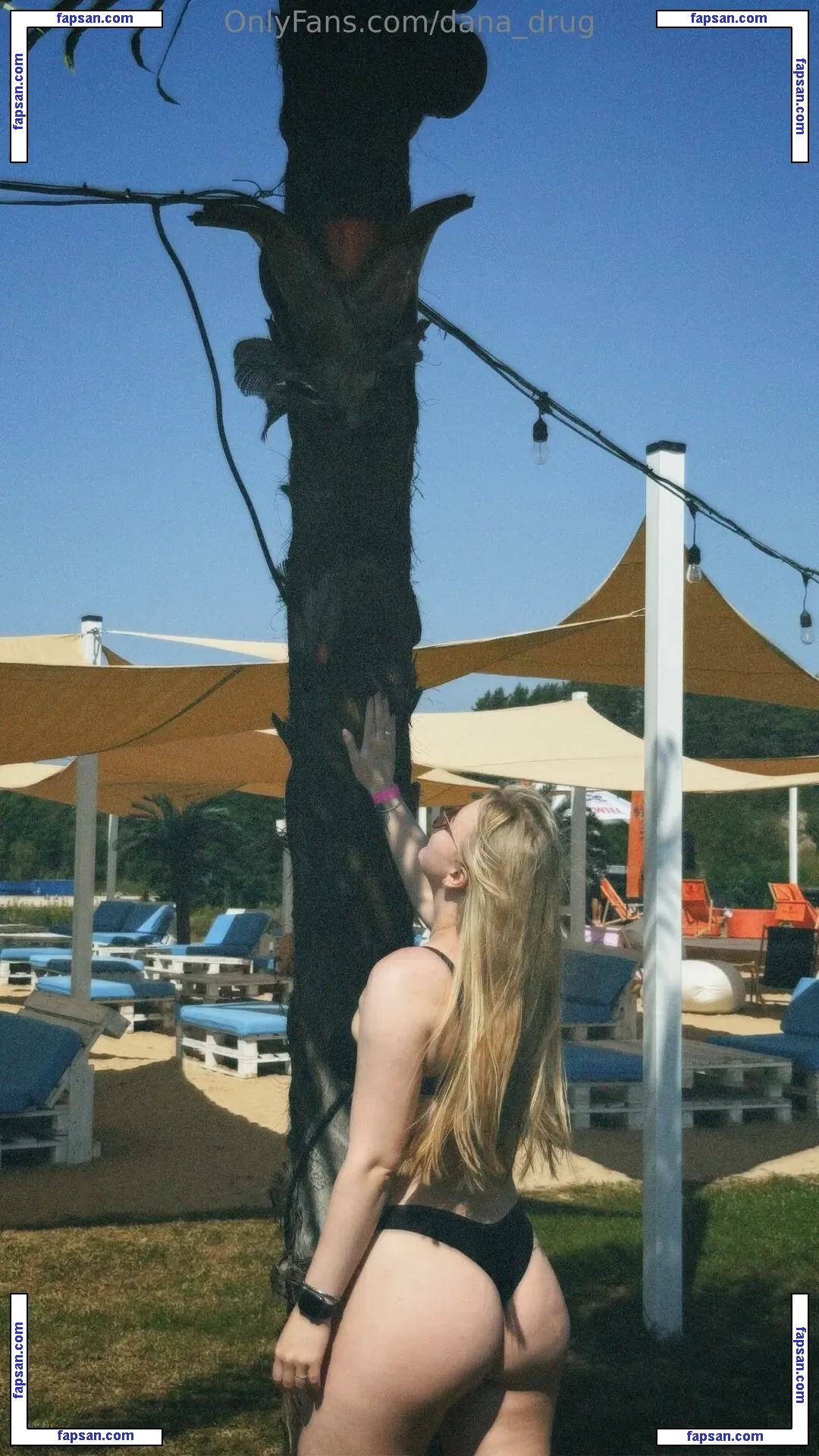 dana_drug nude photo #0019 from OnlyFans