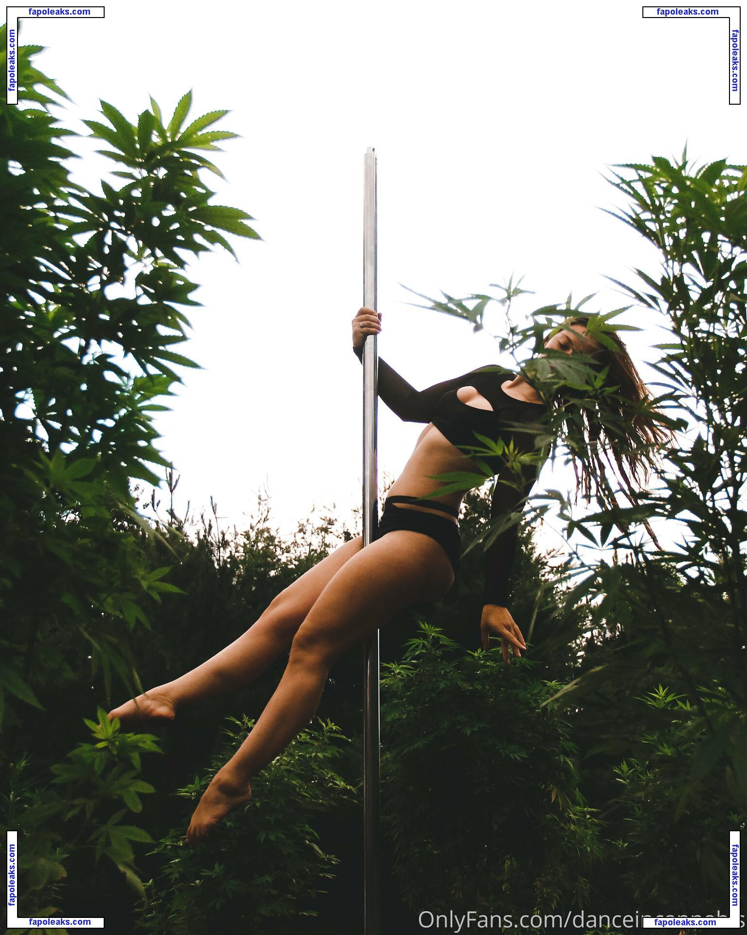 danceincannabis nude photo #0017 from OnlyFans