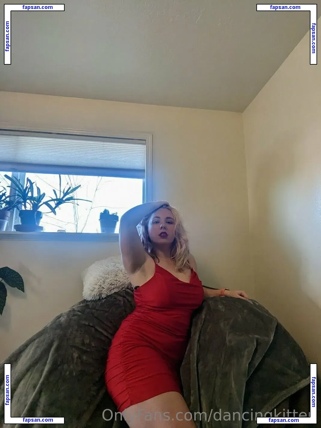 dancingkitten nude photo #0012 from OnlyFans