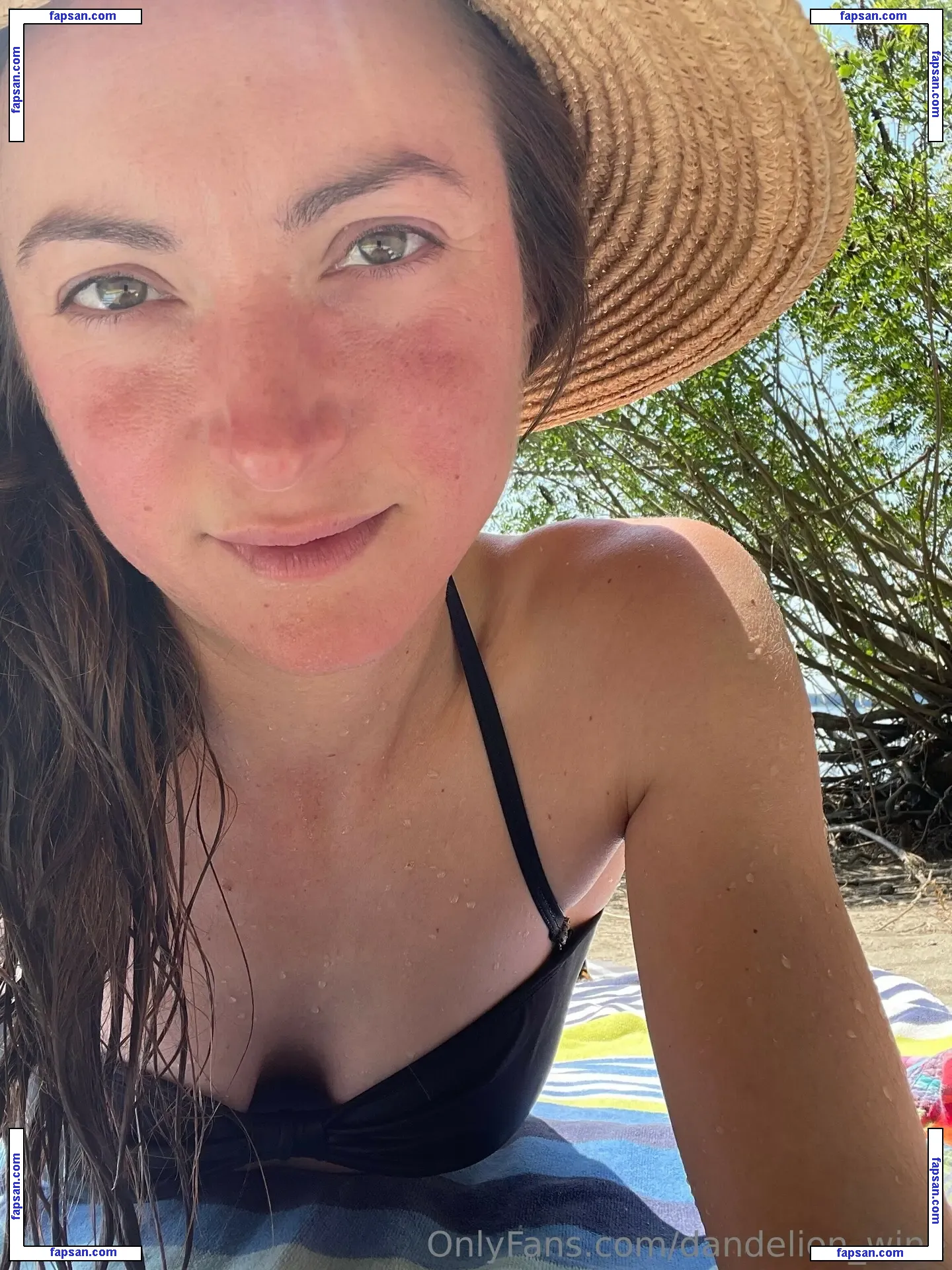 dandelion_wine nude photo #0008 from OnlyFans