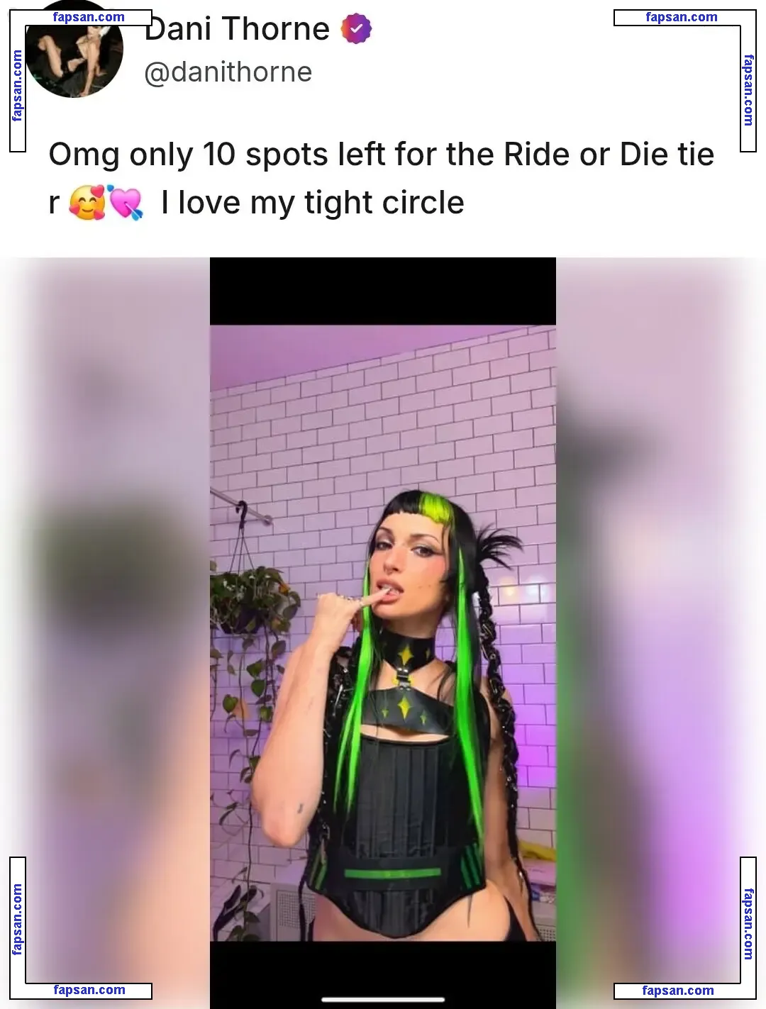 Dani Thorne nude photo #0353 from OnlyFans