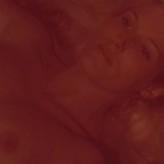 Danielle Ouimet nude #0003