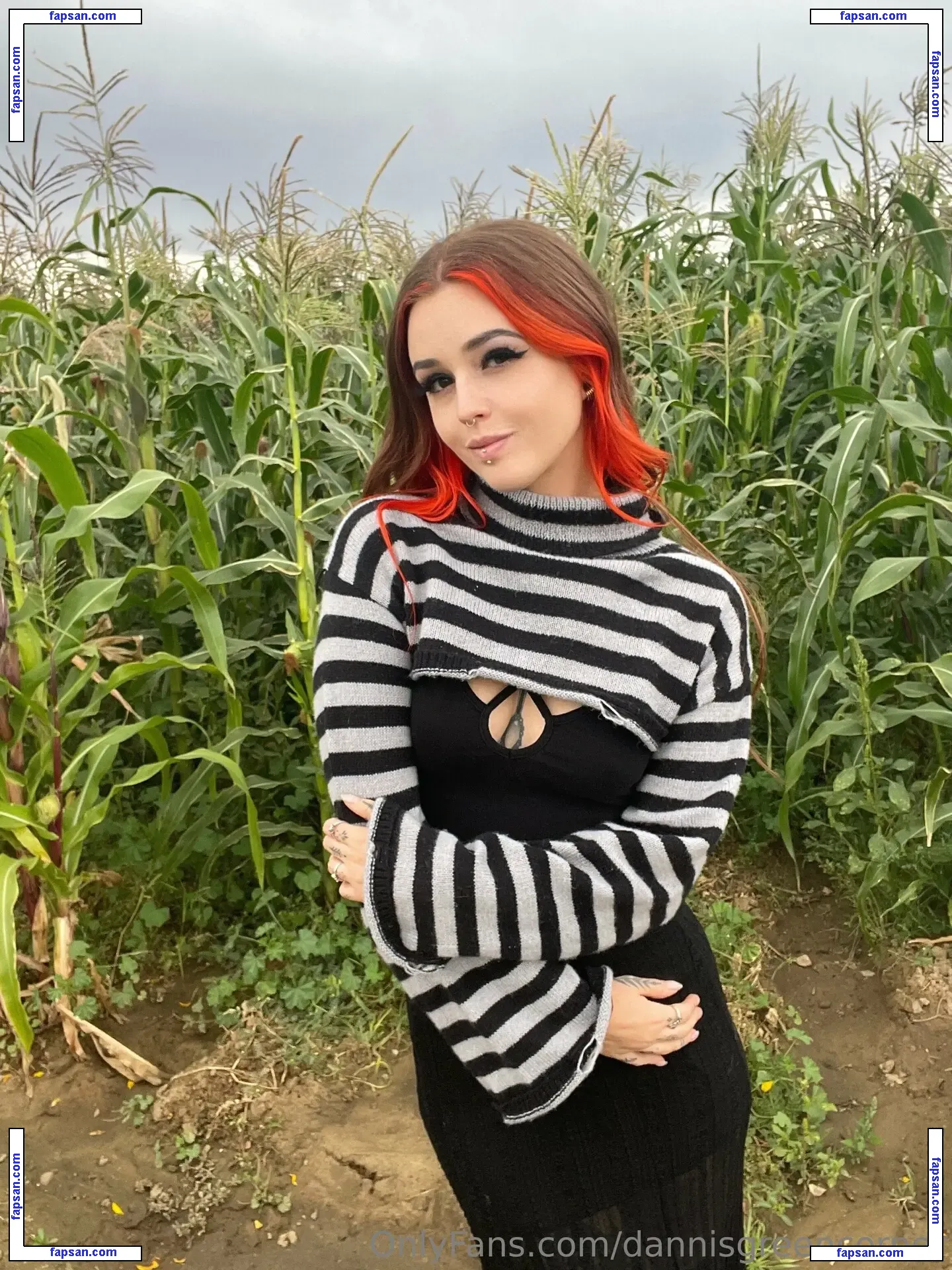 dannisgreencorner nude photo #0002 from OnlyFans