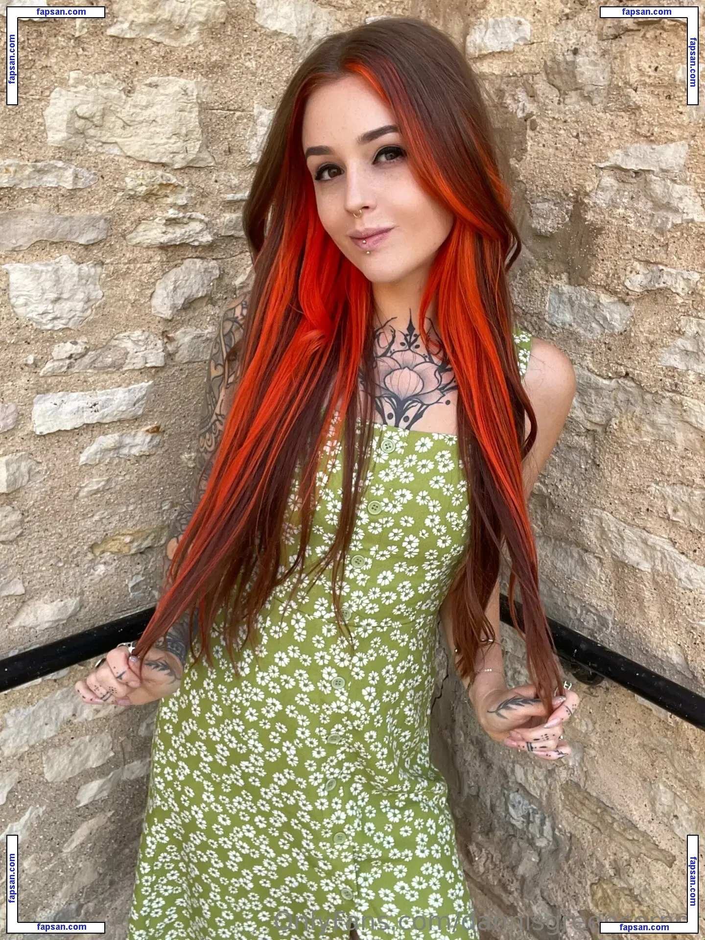 dannisgreencorner nude photo #0018 from OnlyFans