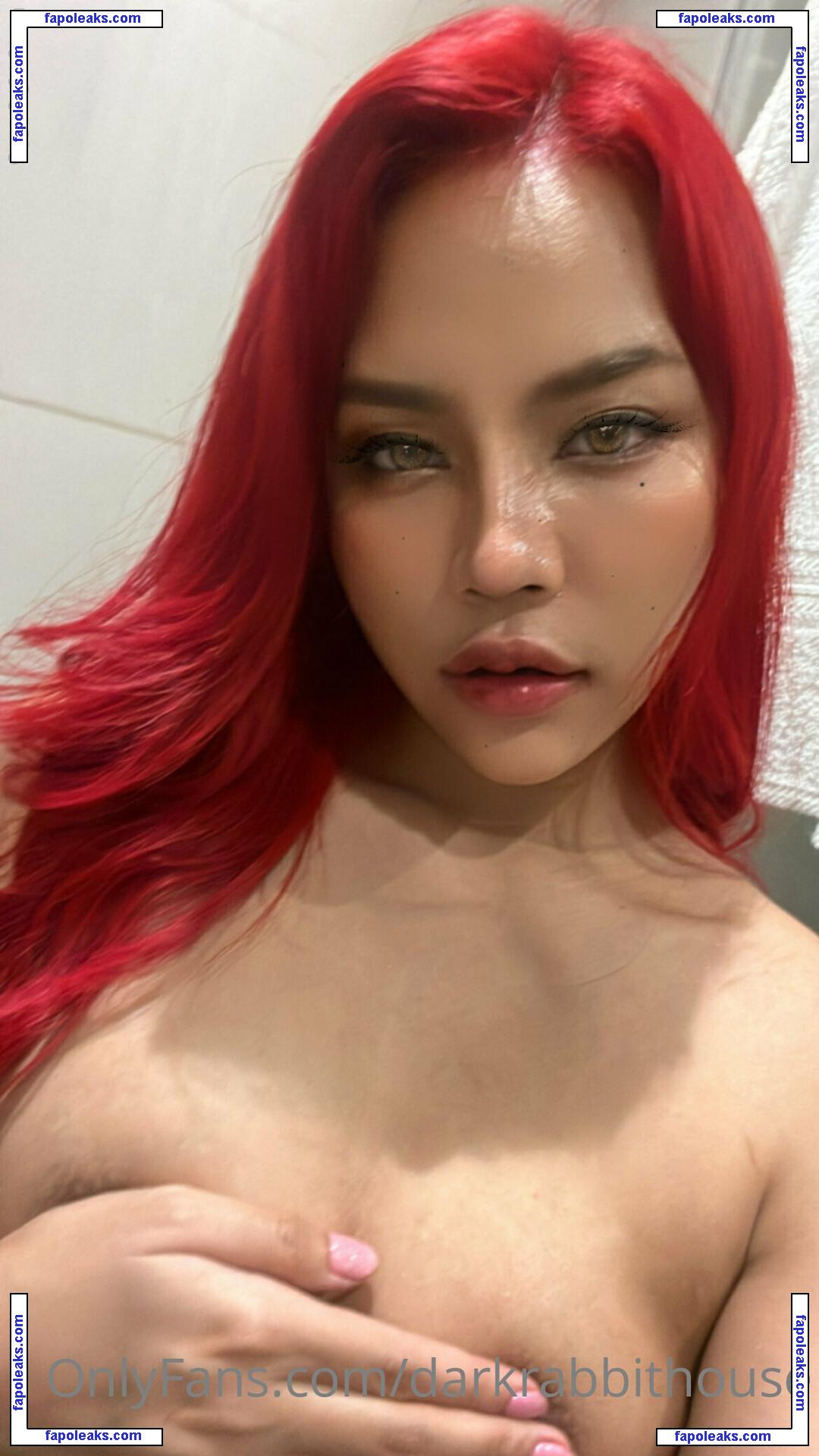 Darkrabbithouse / asianfansorg nude photo #0031 from OnlyFans