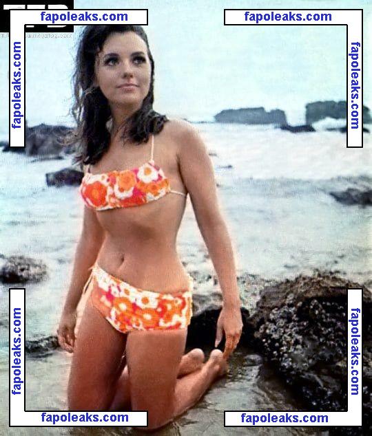 Dawn Wells nude photo #0010 from OnlyFans