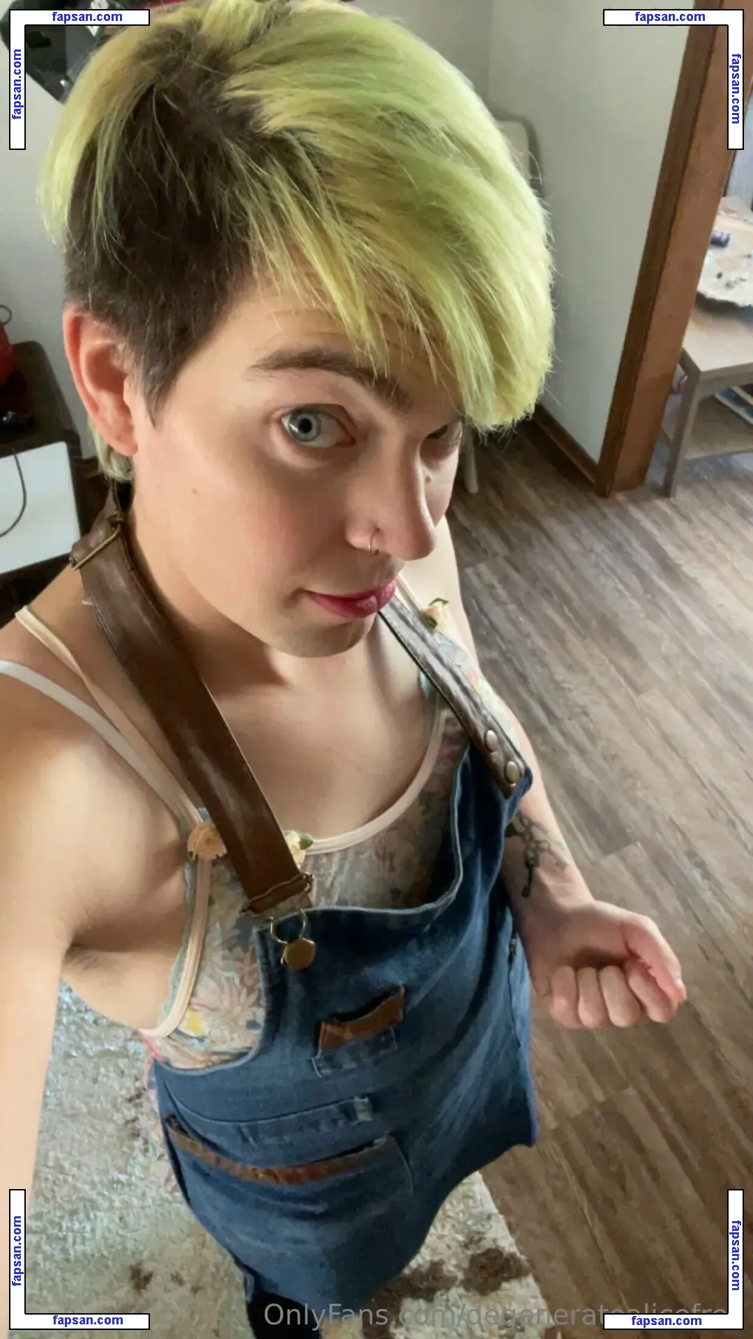 degeneratealicefree nude photo #0007 from OnlyFans