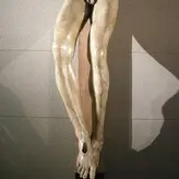 Del Bosco голая #0001