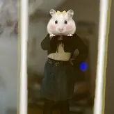 Denpafish голая #0044