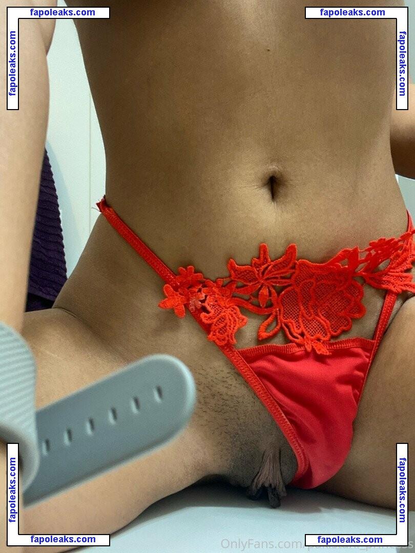 Desi Royalty / desiroyals04 / pakistani_princess nude photo #0024 from OnlyFans