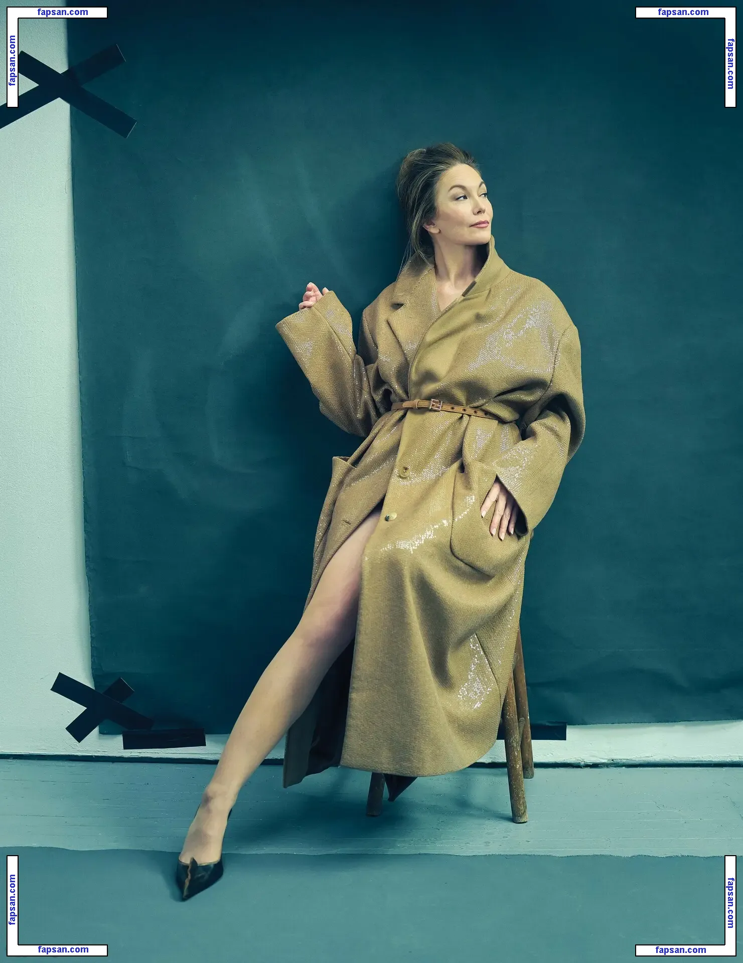 Diane Lane nude photo #0311 from OnlyFans