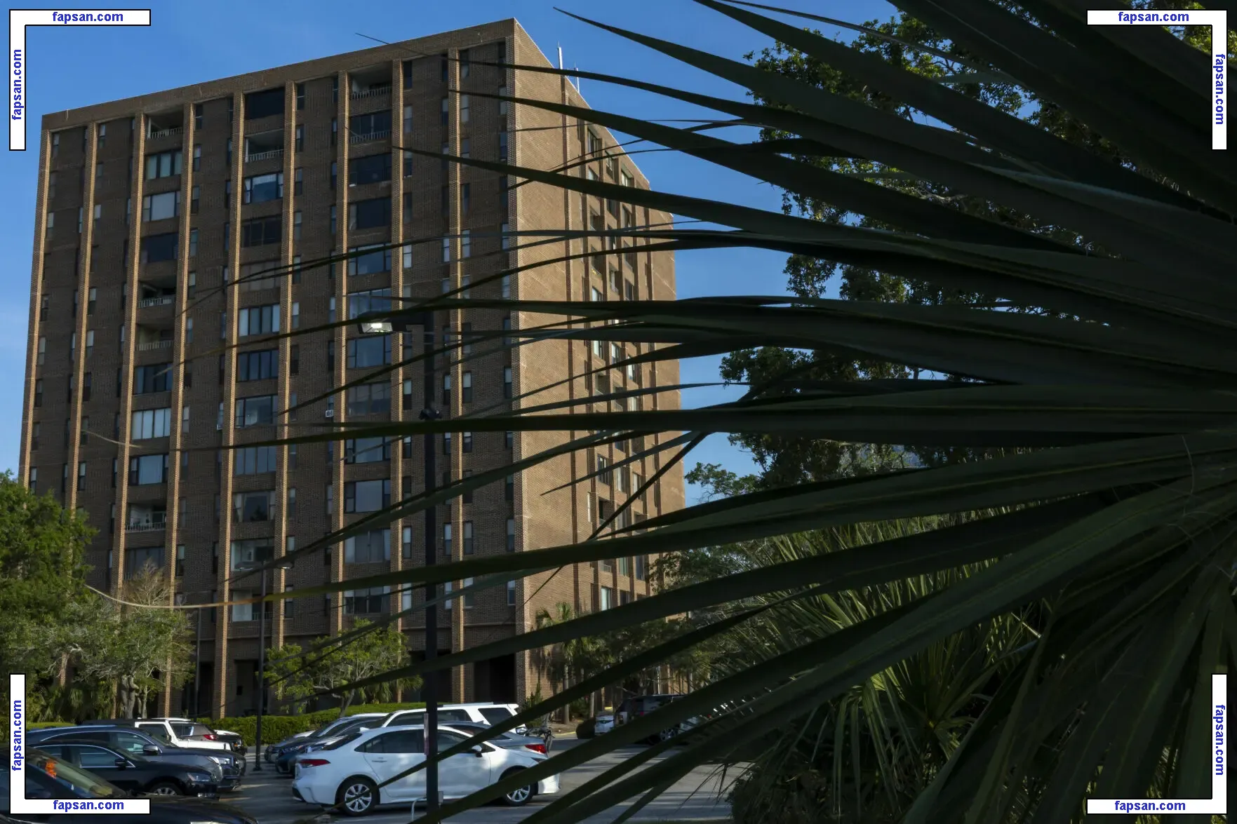 die_anneliese голая фото #0001 с Онлифанс