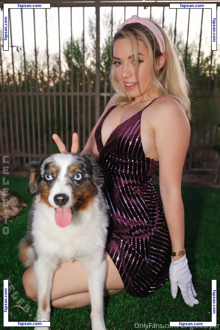 Dinglederper голая фото #0422 с Онлифанс